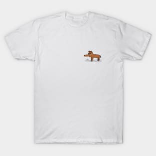 Dog T-Shirt